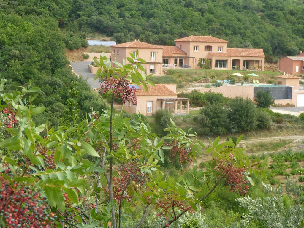 Domaine De Flo Adult A Partir De 16 Ans Bed & Breakfast Saint-Jean-de-la-Blaquiere ภายนอก รูปภาพ